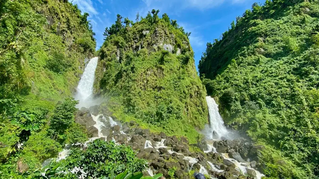 Dominica's eSIM
