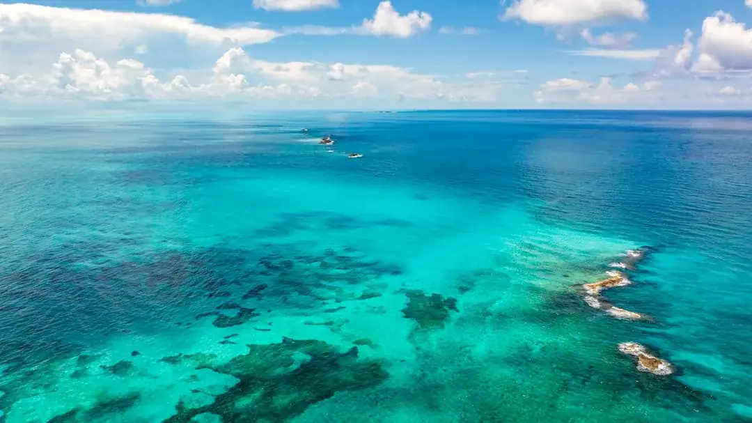 Caribbean